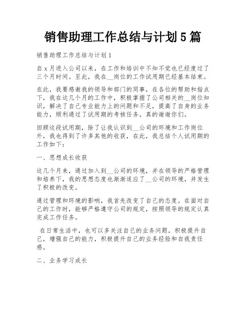 销售助理工作总结与计划5篇