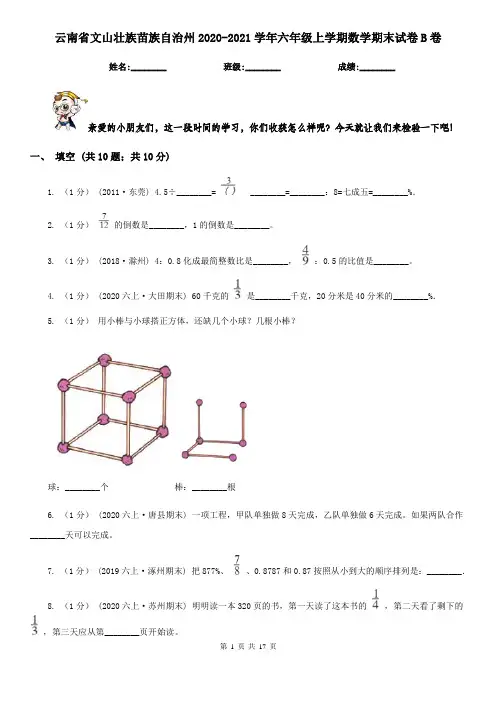 云南省文山壮族苗族自治州2020-2021学年六年级上学期数学期末试卷B卷
