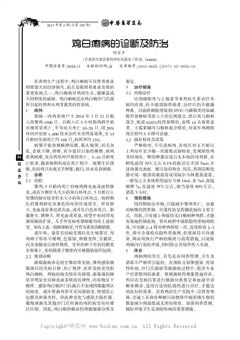 鸡白痢病的诊断及防治