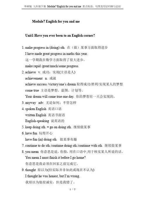 外研版 九年级下册 Module7 English for you and me 重点短语,句型及用