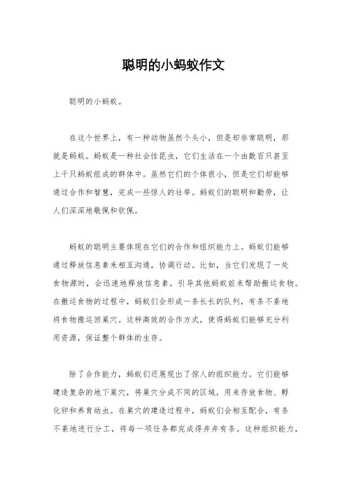 聪明的小蚂蚁作文