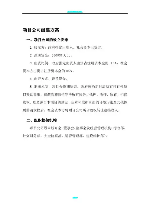 项目公司组建方案(终)