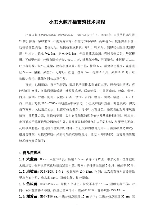 小丑火棘扦插繁殖技术研究
