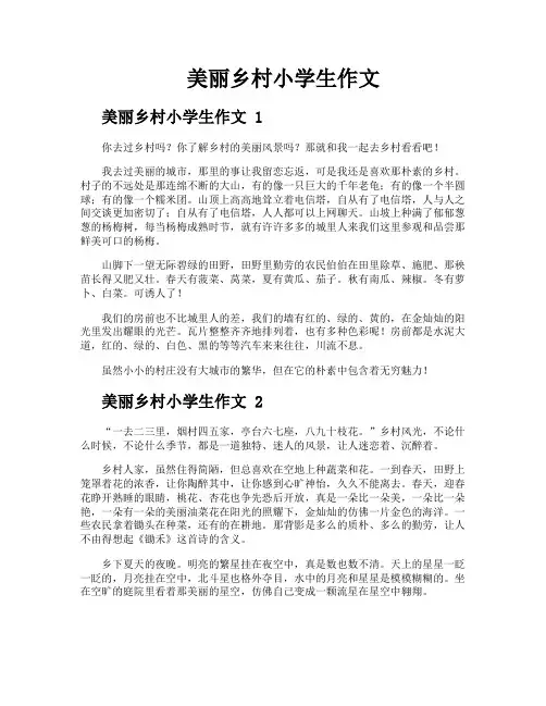 美丽乡村小学生作文