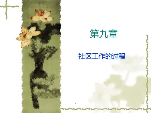 社区工作的过程PPT课件