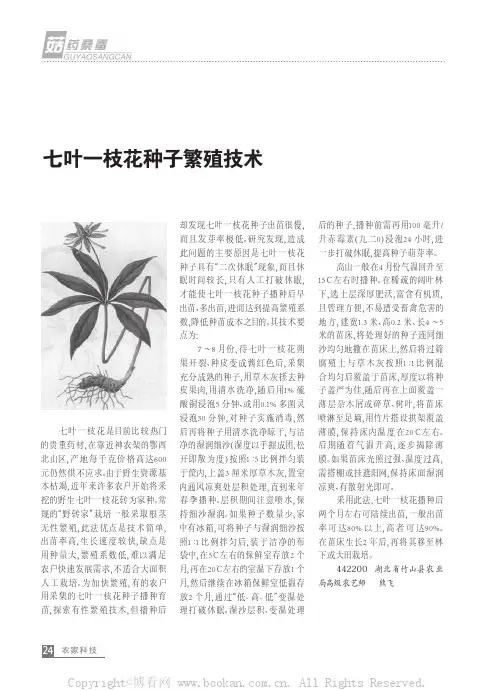 七叶一枝花种子繁殖技术