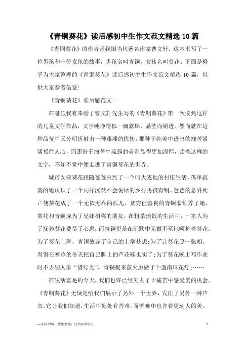 《青铜葵花》读后感初中生作文范文精选10篇