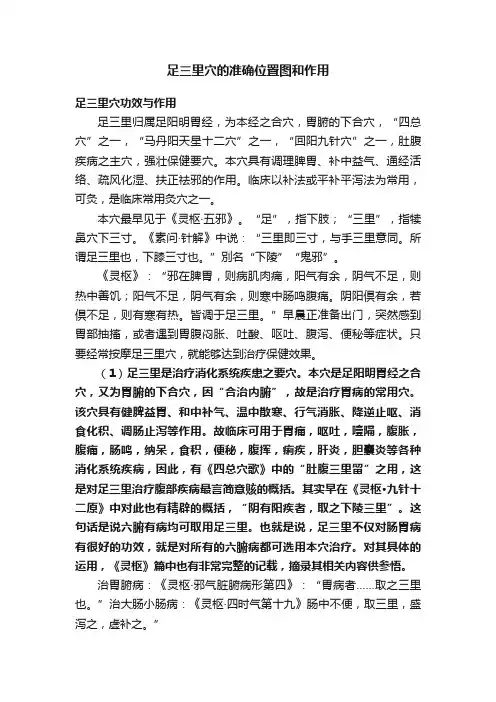 足三里穴的准确位置图和作用