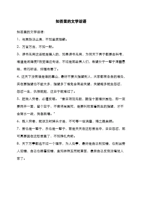 知否里的文学话语