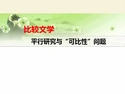 比较文学：平行研究及可比性问题