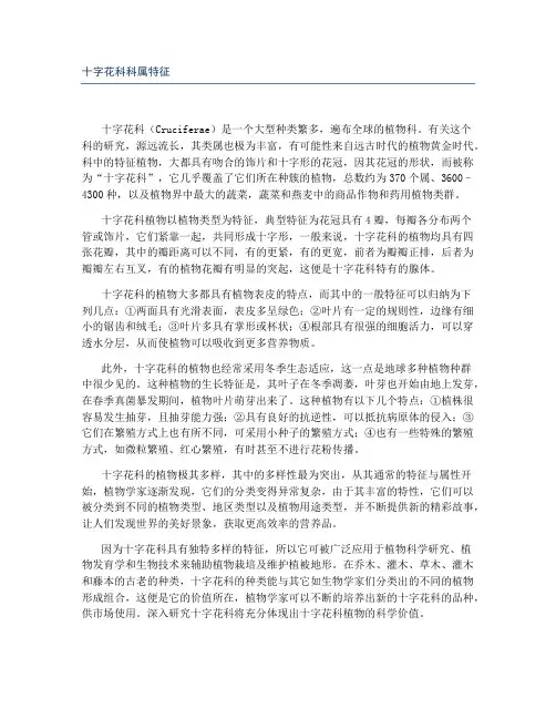 十字花科科属特征