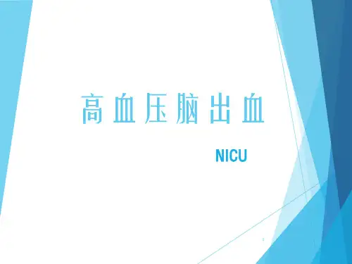 高血压脑出血PPT课件