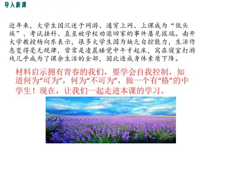 青春有格
