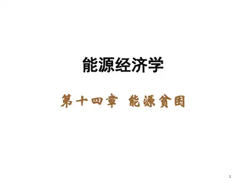 能源经济学(第三版)课件第14章精选全文
