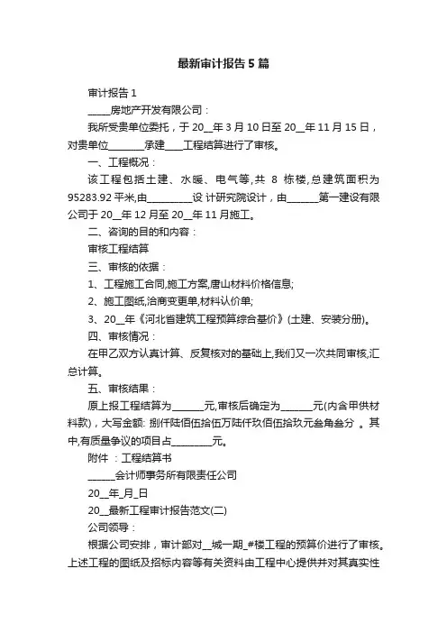 最新审计报告5篇
