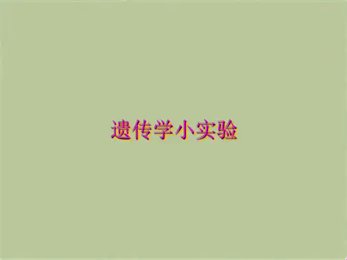 遗传学小实验(共10张PPT)