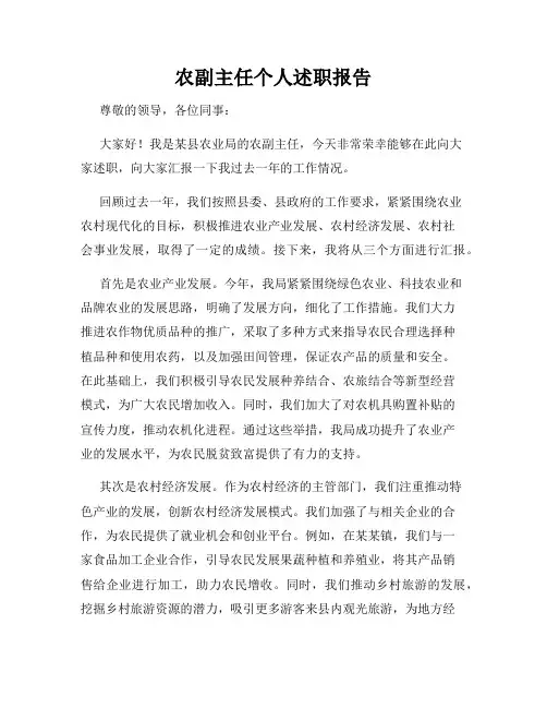 农副主任个人述职报告
