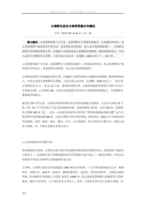 云南野生茶及古树茶资源分布概况
