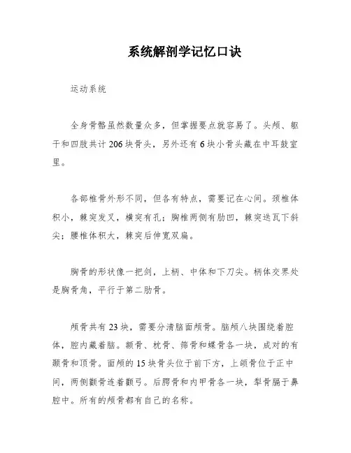 系统解剖学记忆口诀