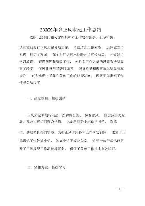20XX年乡正风肃纪工作总结