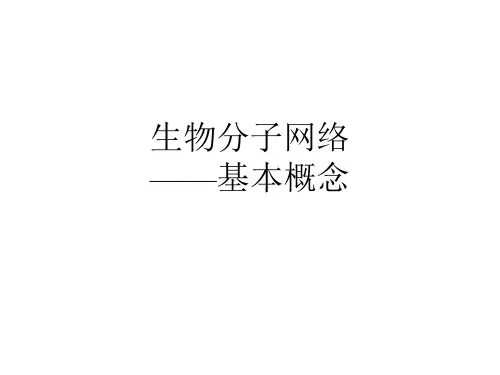 生物分子网络 基本概念