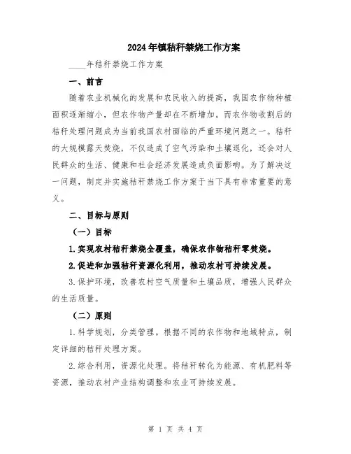 2024年镇秸秆禁烧工作方案