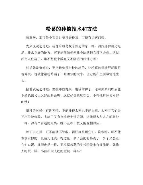 粉葛的种植技术和方法