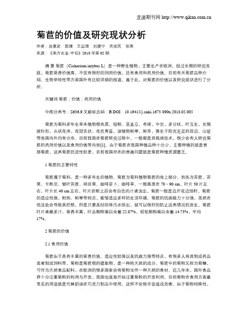 菊苣的价值及研究现状分析