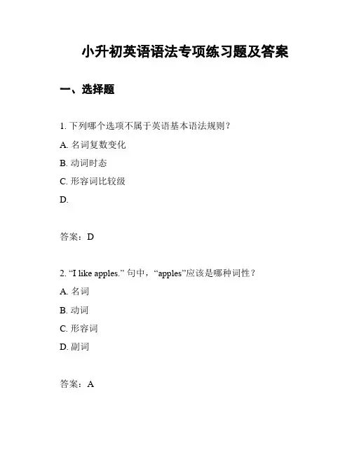 小升初英语语法专项练习题及答案