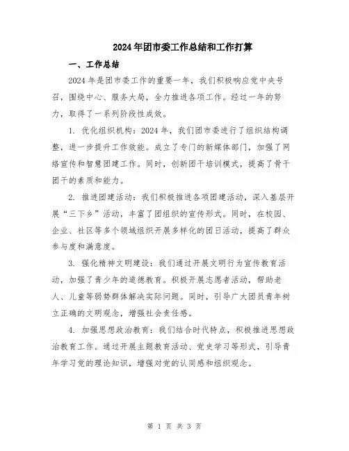 2024年团市委工作总结和工作打算
