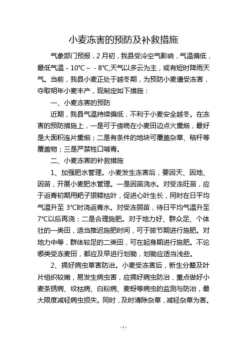 小麦冻害的预防及补救措施