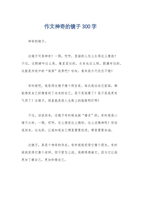 作文神奇的镜子300字