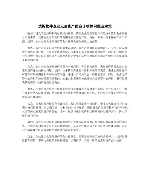试析软件企业无形资产的会计核算问题及对策