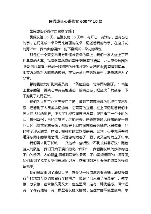 暑假成长心得作文600字10篇