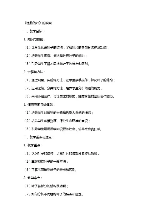 《植物的叶》的教案