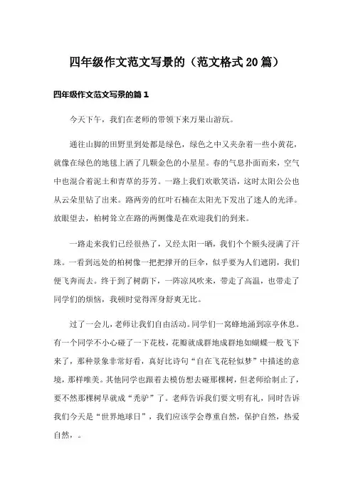 四年级作文范文写景的(范文格式20篇)