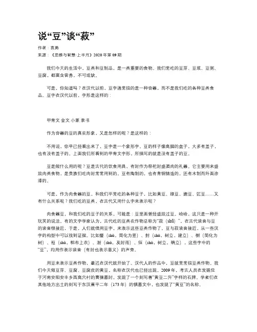 说“豆”谈“菽”