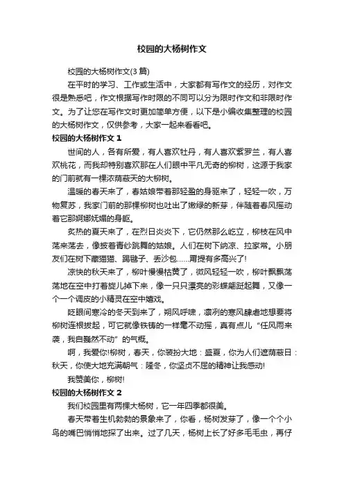 校园的大杨树作文（3篇）