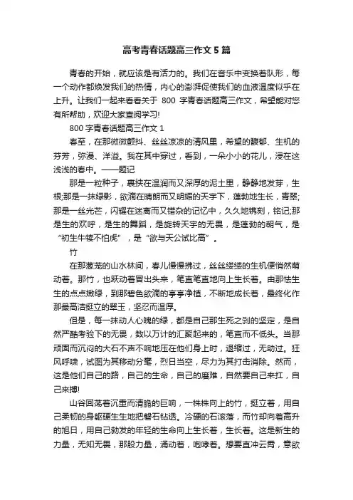 高考青春话题高三作文5篇