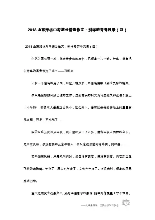 2018山东潍坊中考满分精选作文：别样的青春风景(四)