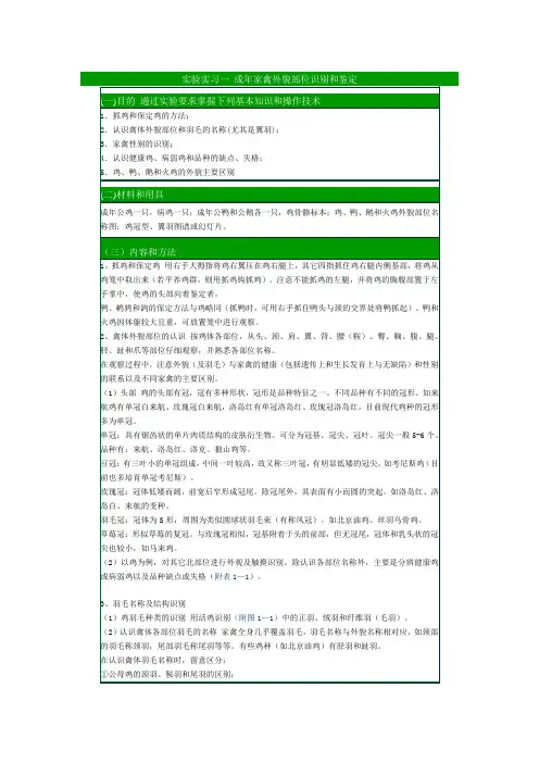 养禽学实验