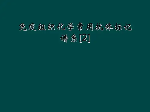 免疫组织化学常用抗体标记谱系[2]