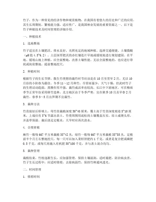 竹子种植技术及时间管理