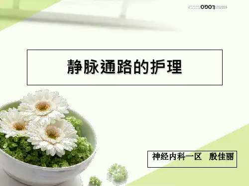 静脉通路的护理PPT课件