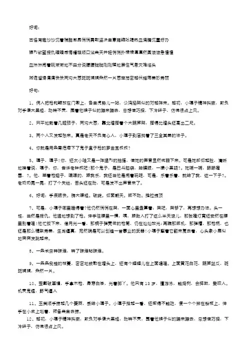 小兵张嘎好词好句摘抄