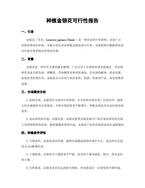 种植金银花可行性报告