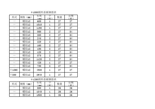 雨污水盖板配筋图 (1)