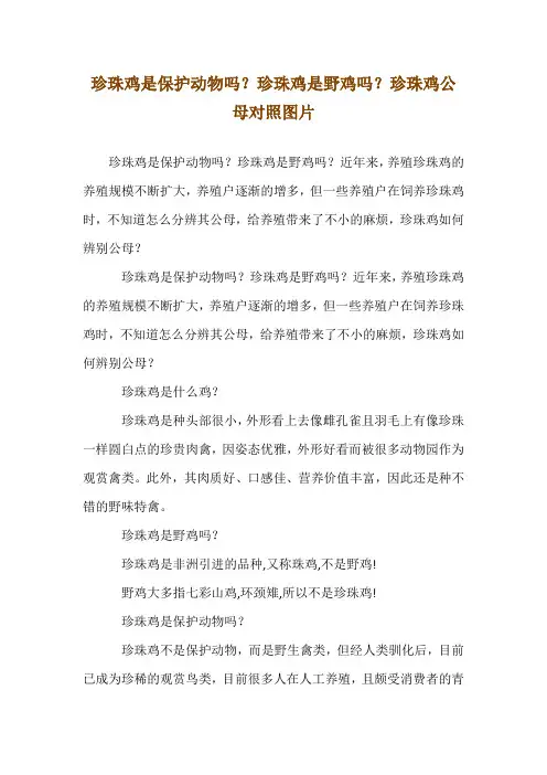 珍珠鸡是保护动物吗？珍珠鸡是野鸡吗？珍珠鸡公母对照图片