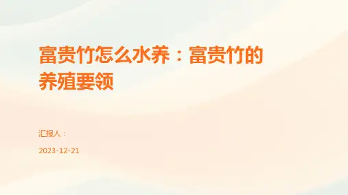 富贵竹怎么水养：富贵竹的养殖要领