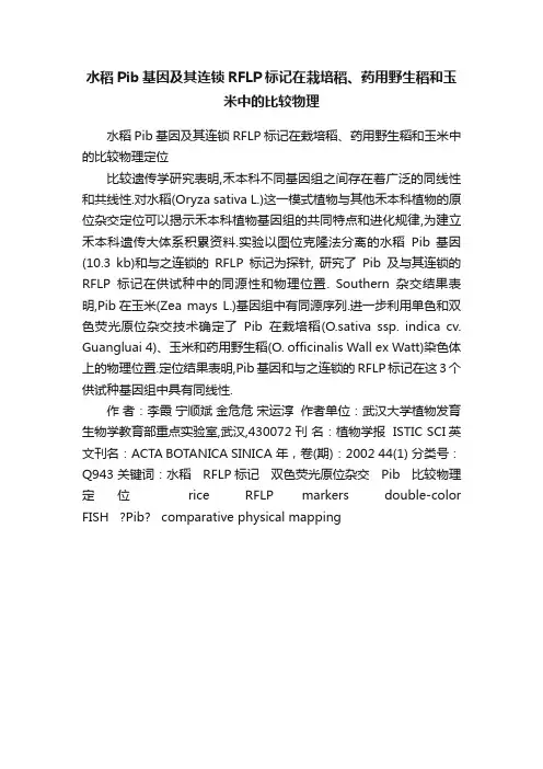 水稻Pib基因及其连锁RFLP标记在栽培稻、药用野生稻和玉米中的比较物理